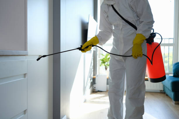 Best Biohazard Mold Removal  in Commerce, GA